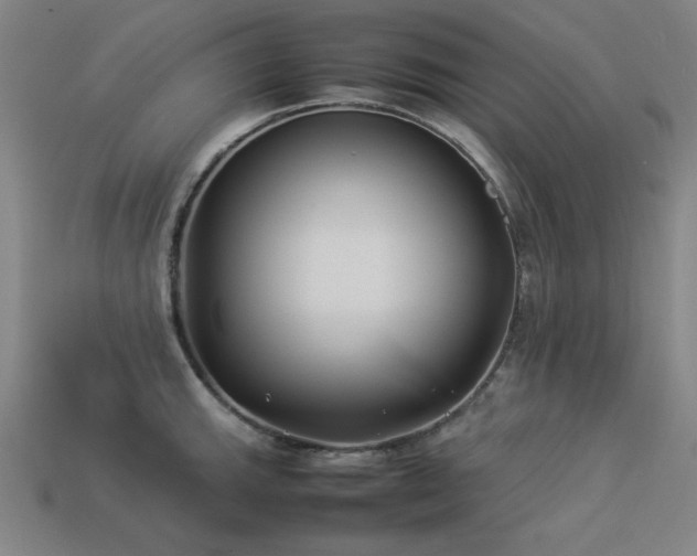 X0000113931143200909251214