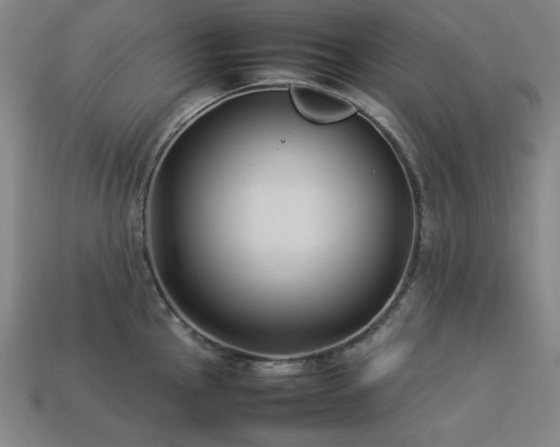 X0000113931145200909251214