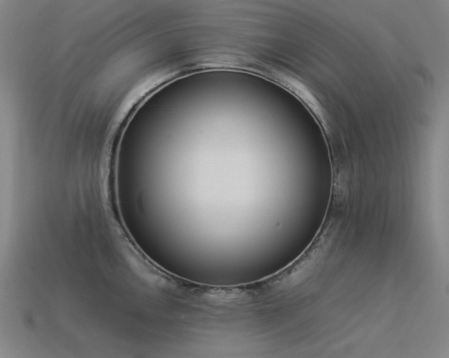 X0000113931146200909251214