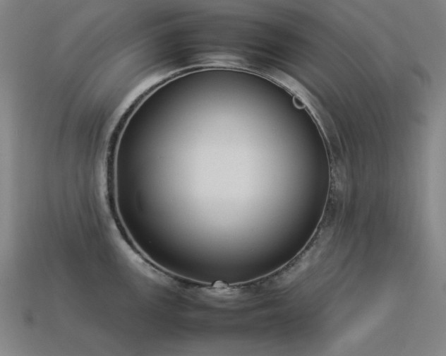 X0000113931147200909251214