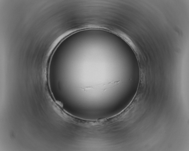 X0000113931148200909251214
