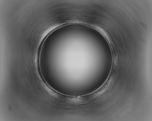 X0000113931149200909251214