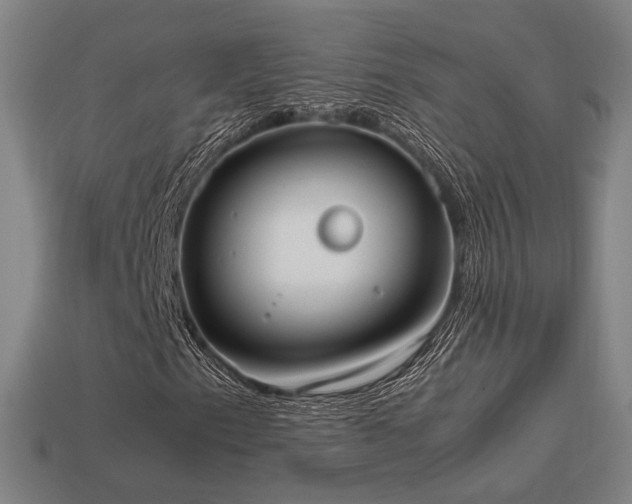 X0000113931153200909251213