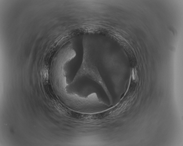 X0000113931155200909251213
