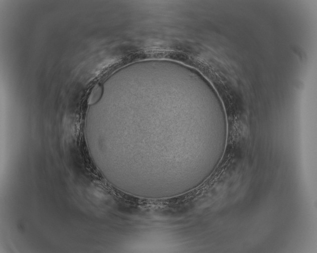 X0000113931157200909251213