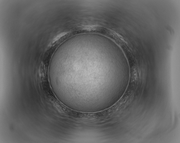 X0000113931158200909251213