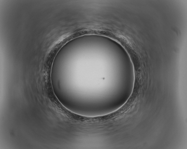 X0000113931159200909251213