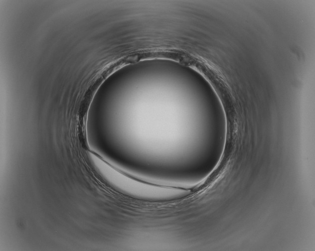 X0000113931161200909251213