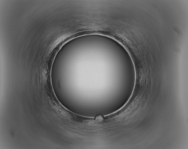 X0000113931163200909251213