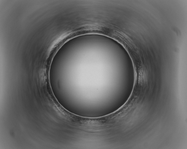 X0000113931164200909251213