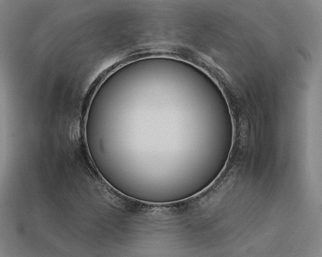 X0000113931166200909251213