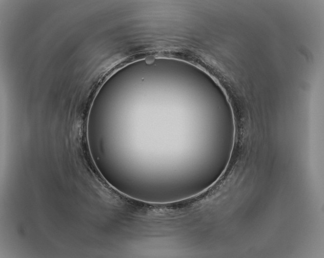 X0000113931169200909251213