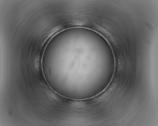 X0000113931170200909251213