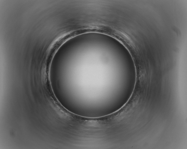 X0000113931172200909251213