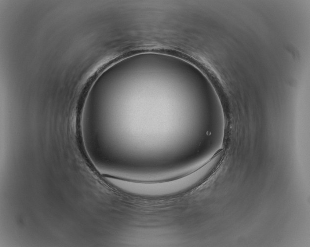 X0000113931173200909251213