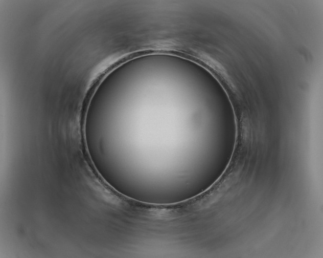 X0000113931176200909251213