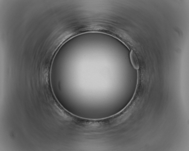 X0000113931177200909251213