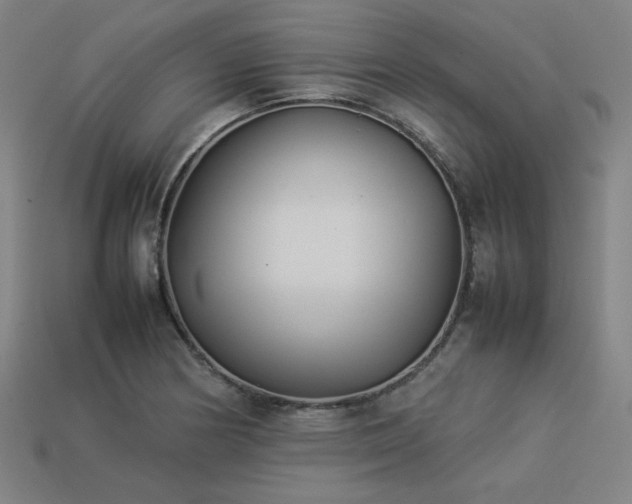 X0000113931178200909251213