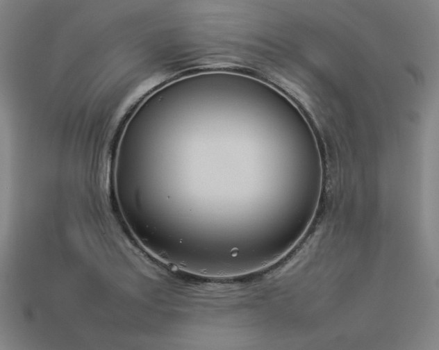 X0000113931179200909251213