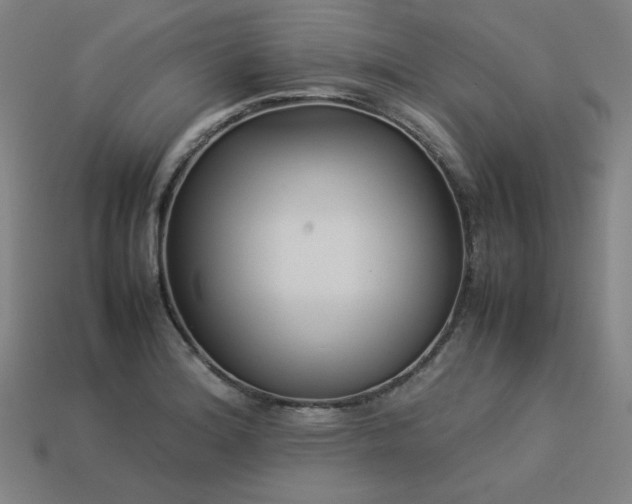 X0000113931180200909251213
