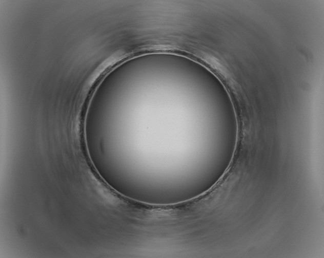 X0000113931181200909251213