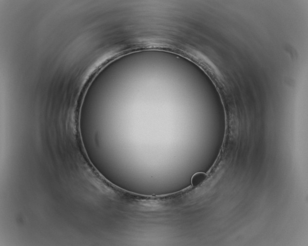 X0000113931182200909251213