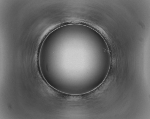X0000113931183200909251213