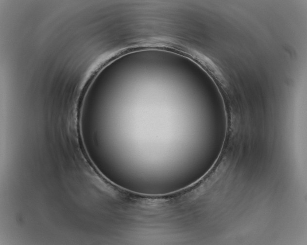 X0000113931184200909251213