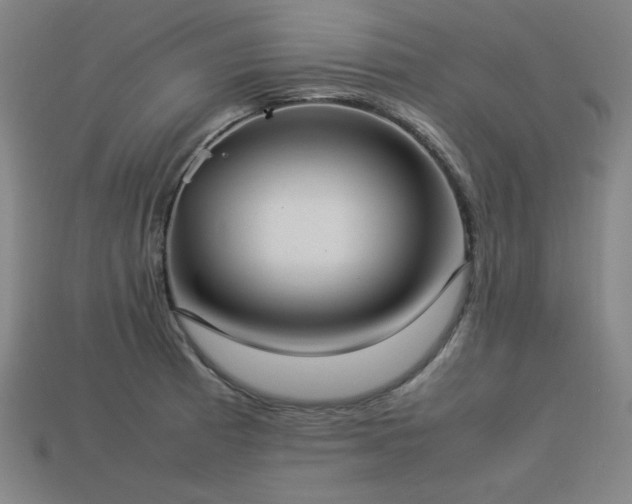 X0000113931185200909251213