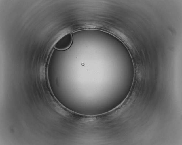 X0000113931186200909251213