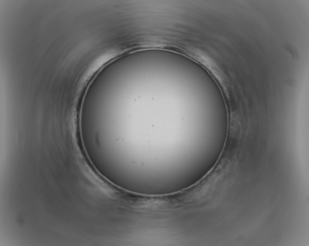 X0000113931187200909251213