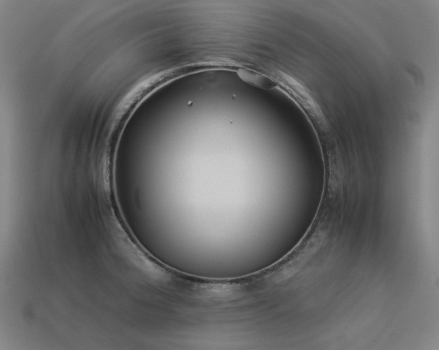 X0000113931188200909251213