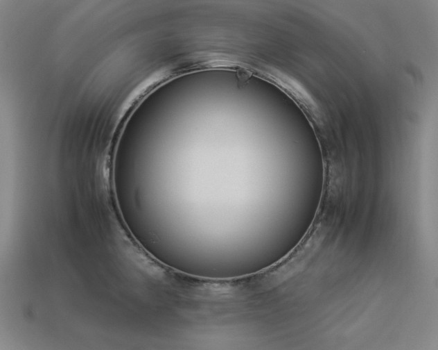 X0000113931190200909251213
