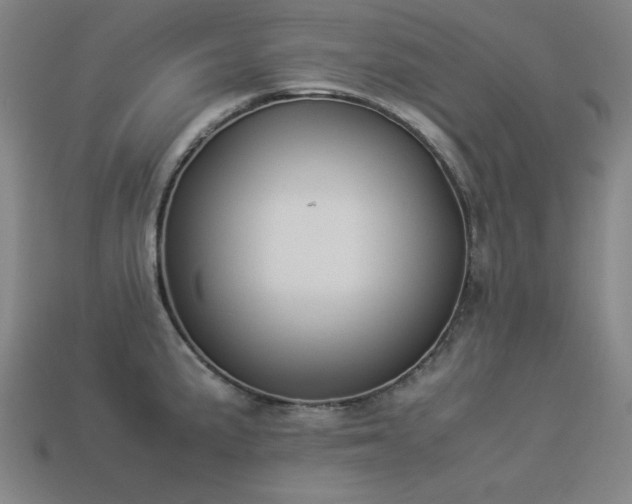 X0000113931191200909251213