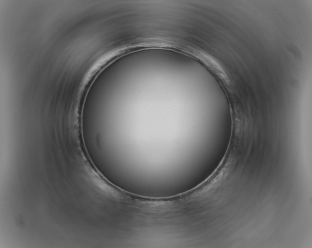 X0000113931192200909251213