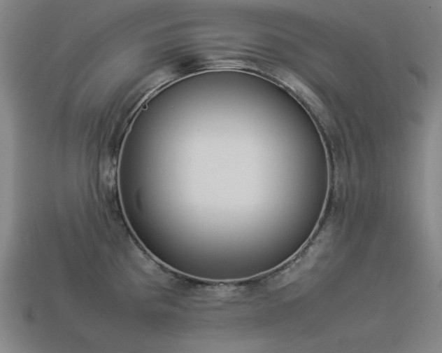 X0000113931193200909251213
