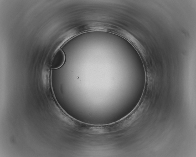 X0000113931194200909251213