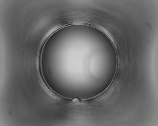 X0000113931195200909251213