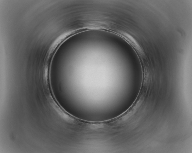 X0000113931196200909251213