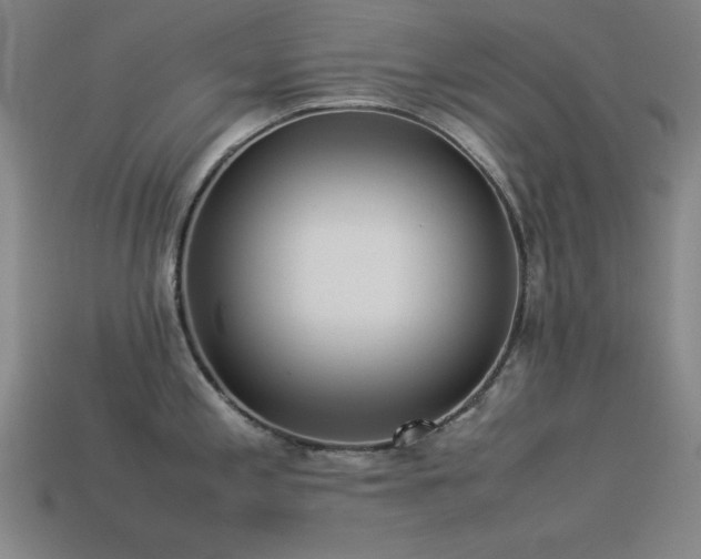 X0000113931197200909251213
