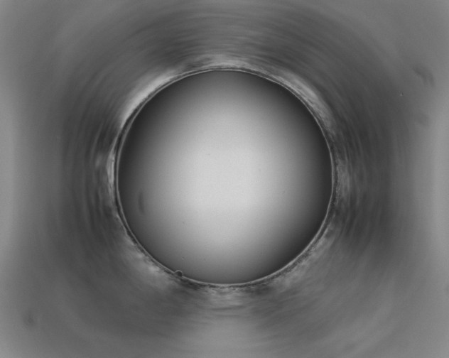 X0000113931198200909251213
