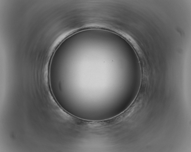 X0000113931199200909251213