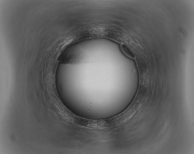 X0000113931201200909251212