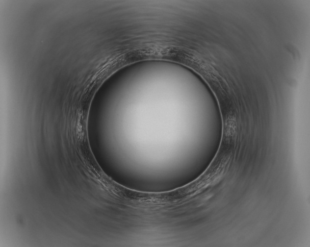 X0000113931202200909251212