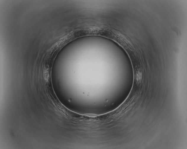 X0000113931204200909251212