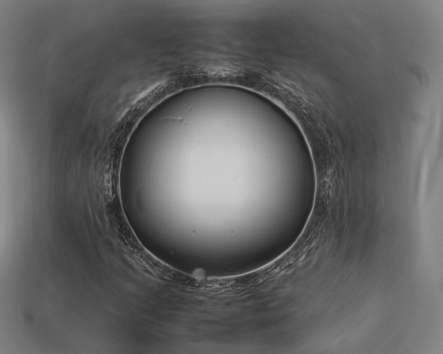 X0000113931205200909251212
