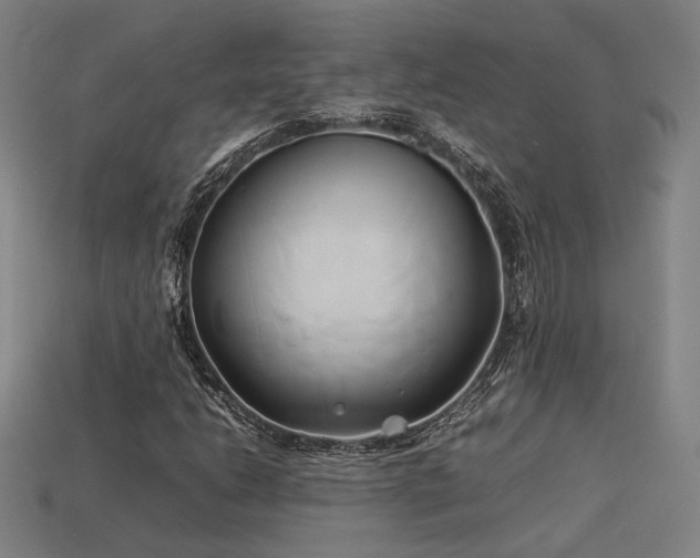 X0000113931206200909251212