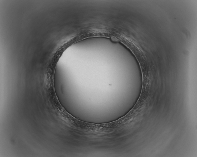 X0000113931207200909251212