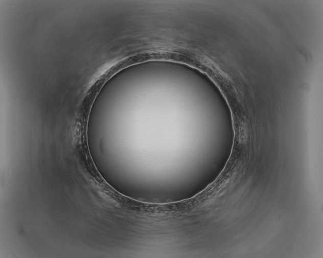 X0000113931208200909251212
