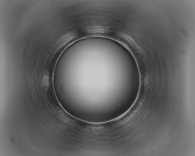 X0000113931209200909251212